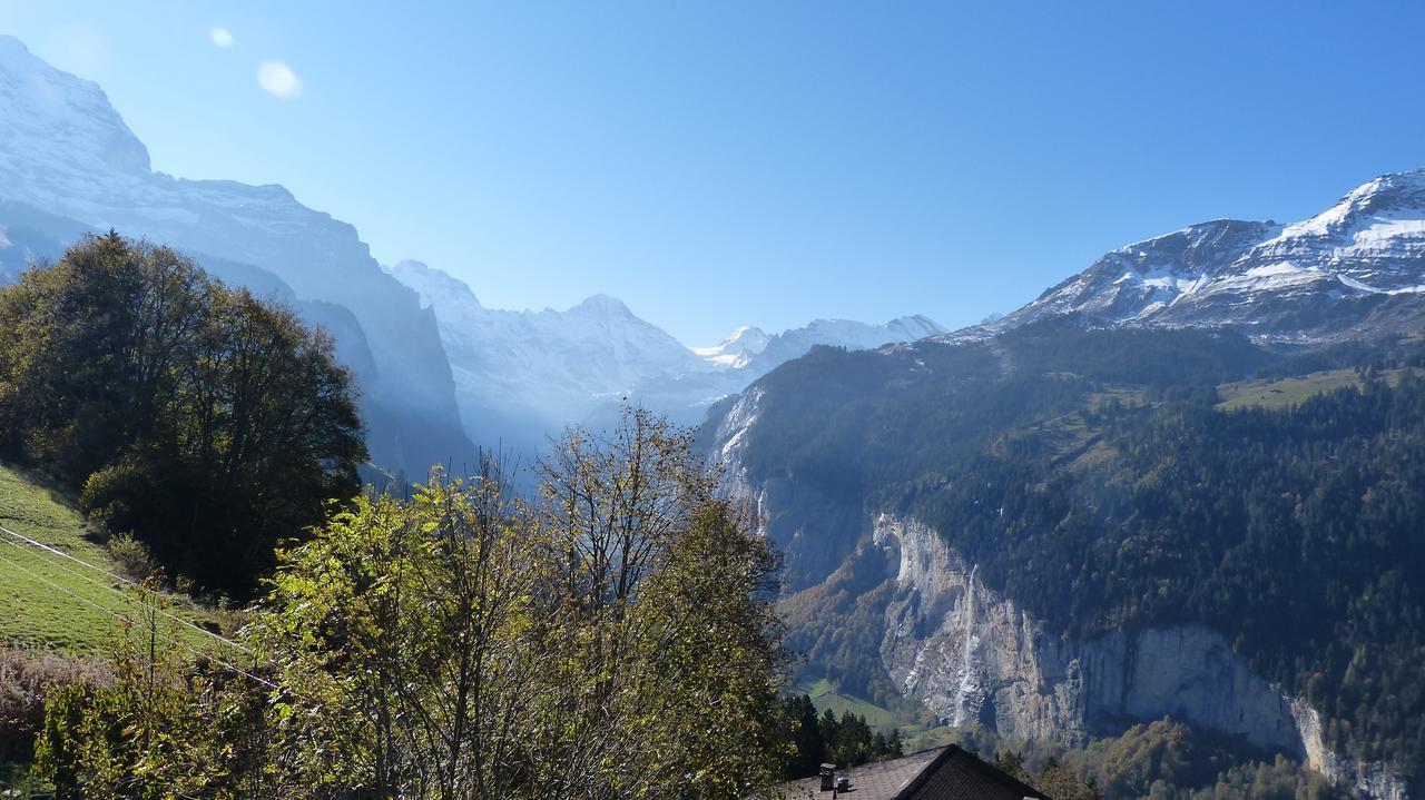 Chalet Bergkristall Wengen Zewnętrze zdjęcie